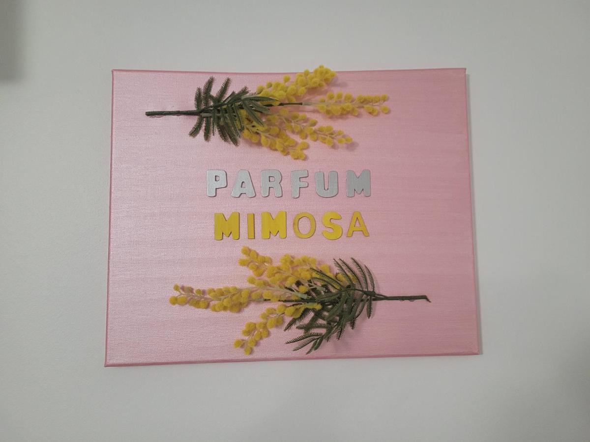 Appartement Parfum Mimosa à Grasse Extérieur photo